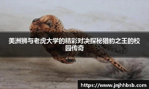 竞技宝官网网站